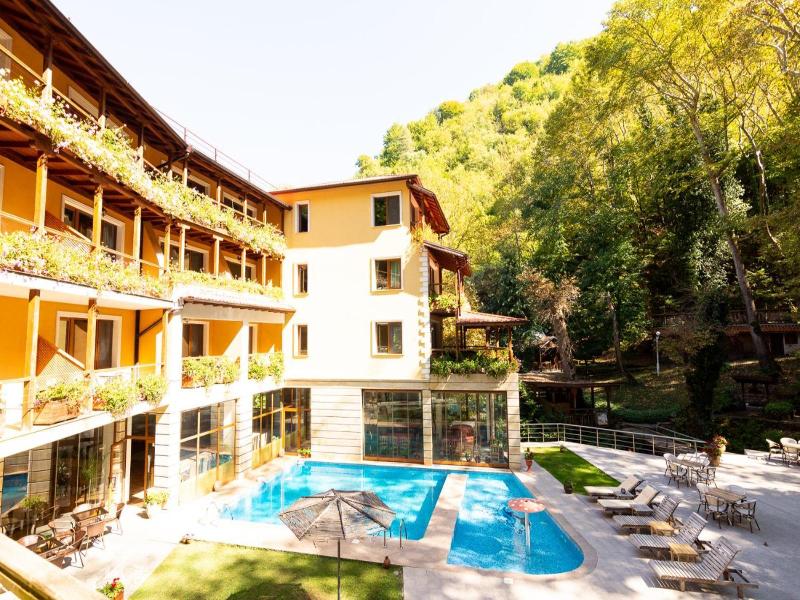 Hotel Saint Nedelya image