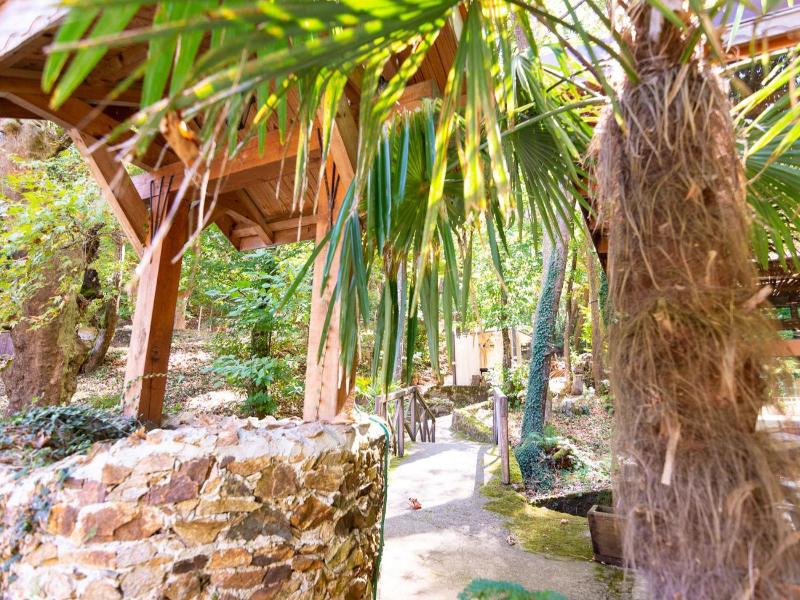 Hotel Saint Nedelya image
