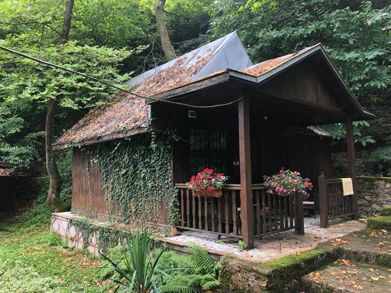Hotel Saint Nedelya image