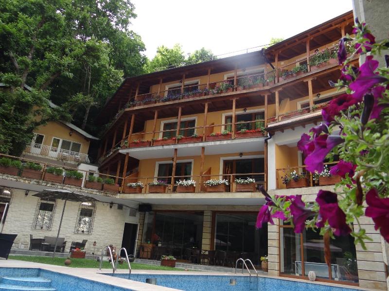 Hotel Saint Nedelya image