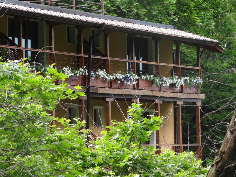 Hotel Saint Nedelya image