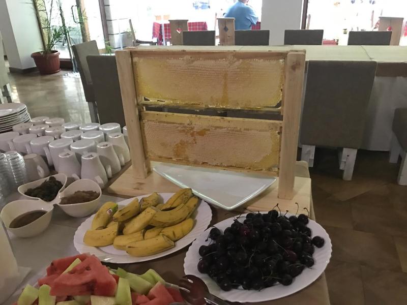 Hotel Saint Nedelya image