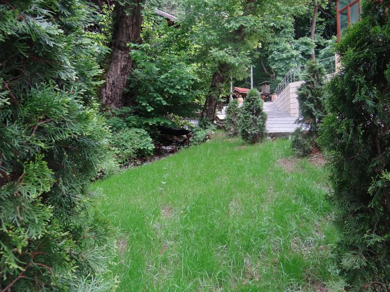 Hotel Saint Nedelya image