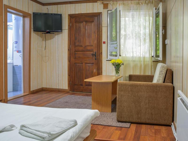 Hotel Saint Nedelya image