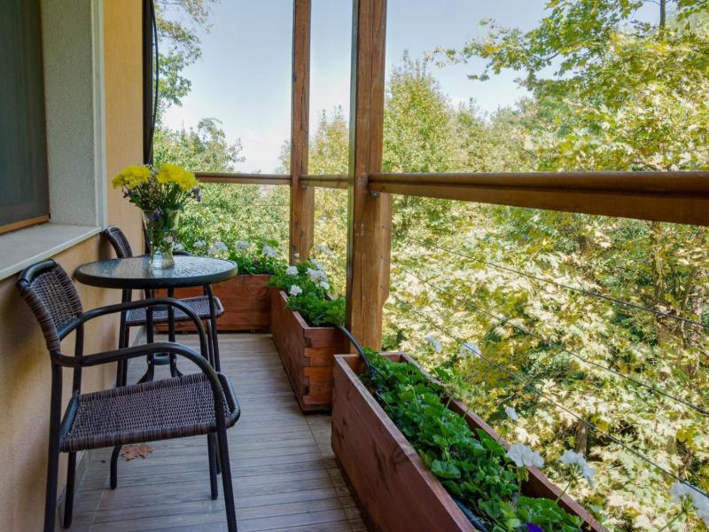Hotel Saint Nedelya image