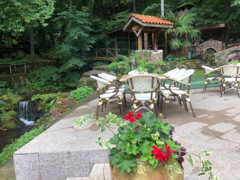 Hotel Saint Nedelya image