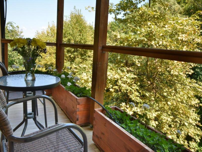 Hotel Saint Nedelya image