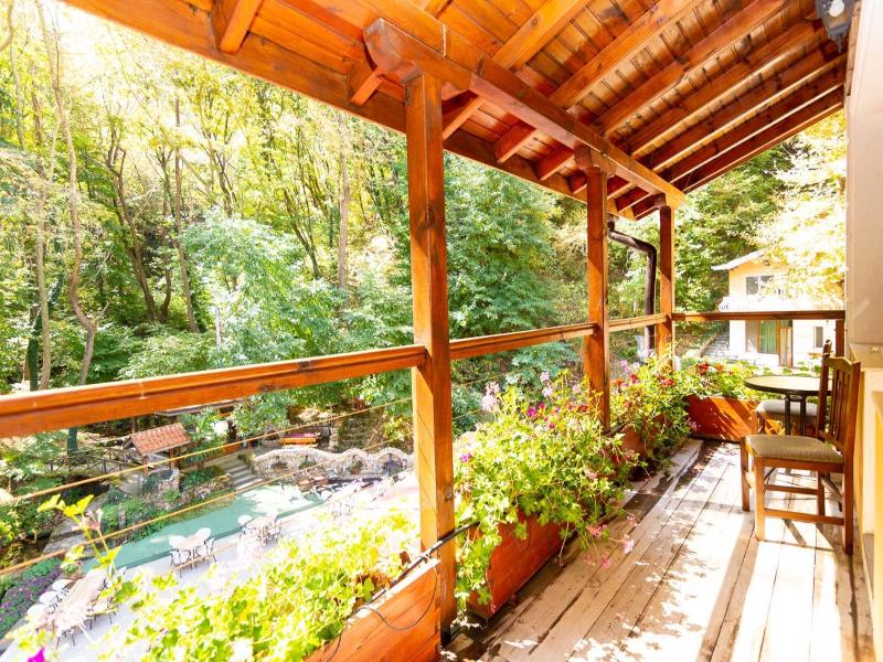 Hotel Saint Nedelya image