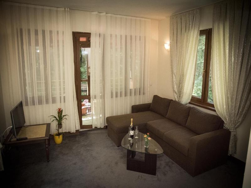 Hotel Saint Nedelya image