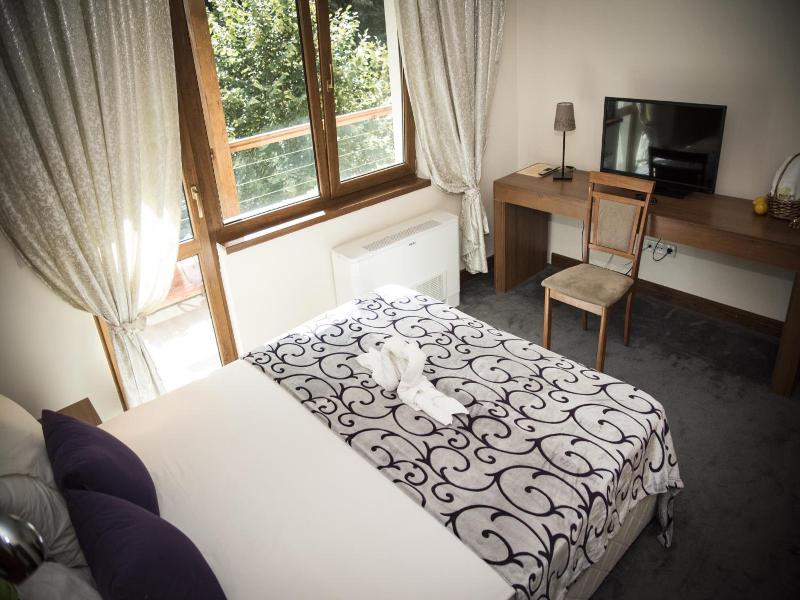 Hotel Saint Nedelya image