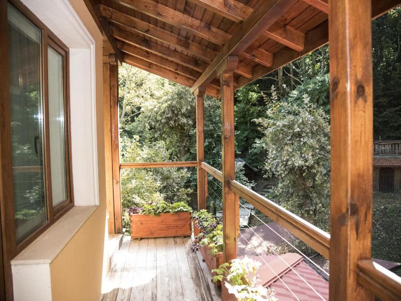Hotel Saint Nedelya image