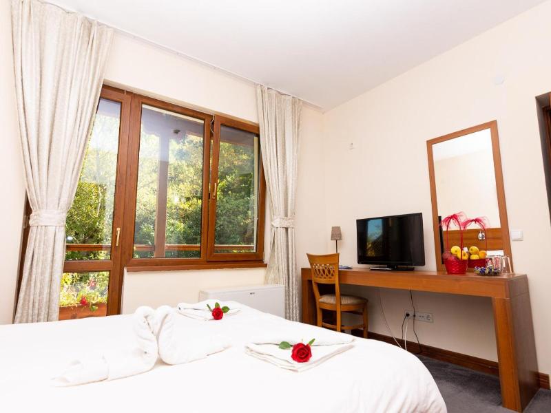 Hotel Saint Nedelya image