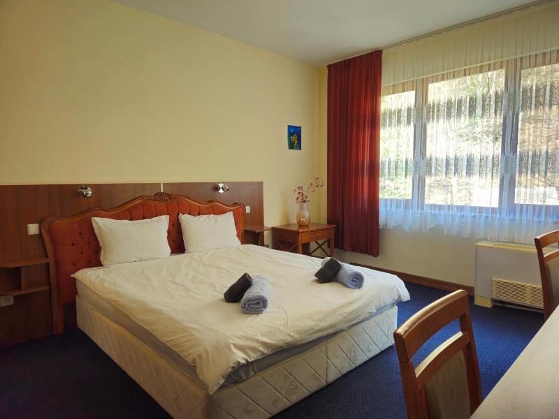 Hotel Saint Nedelya image