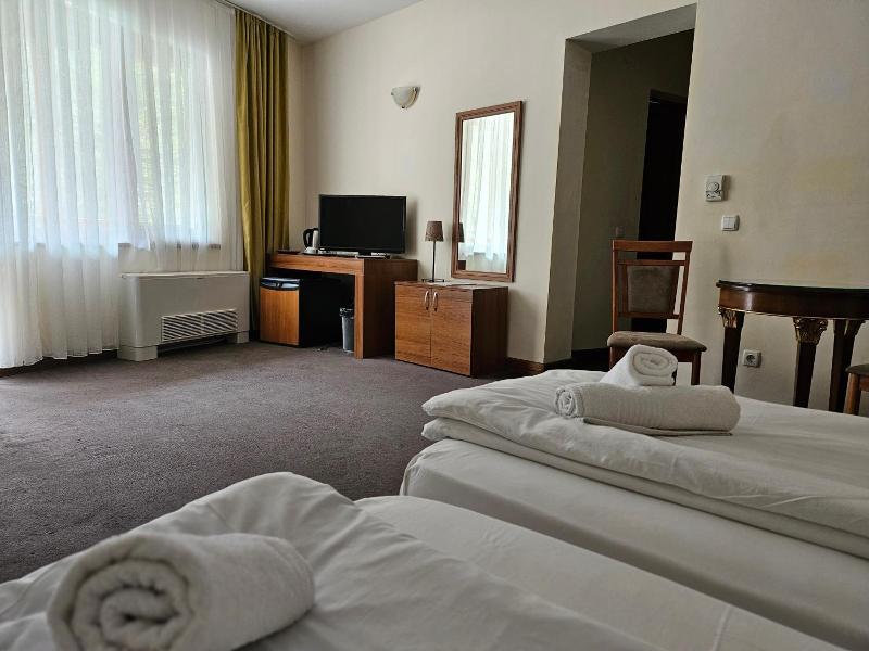 Hotel Saint Nedelya image