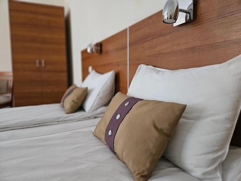 Hotel Saint Nedelya image
