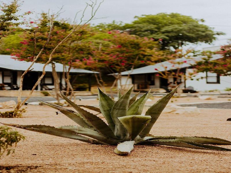 The Vaquero Motel