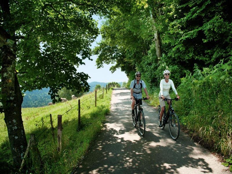Hotel Natur Landhaus Krone image
