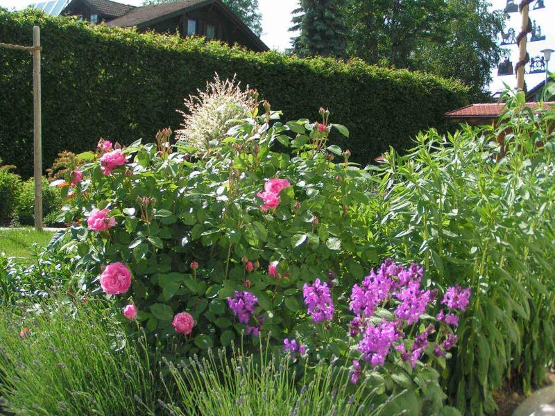 Hotel Natur Landhaus Krone image