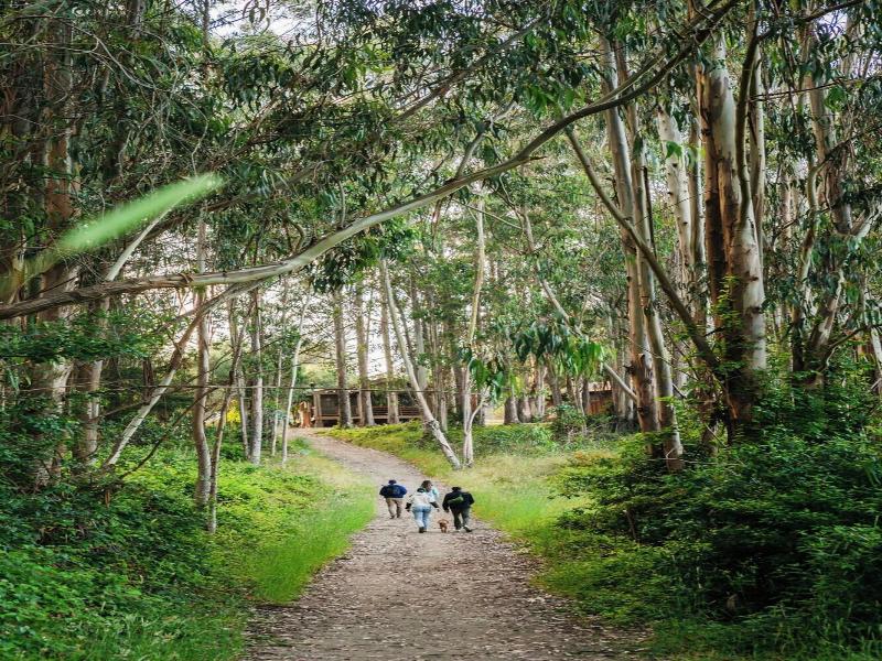 Costanoa