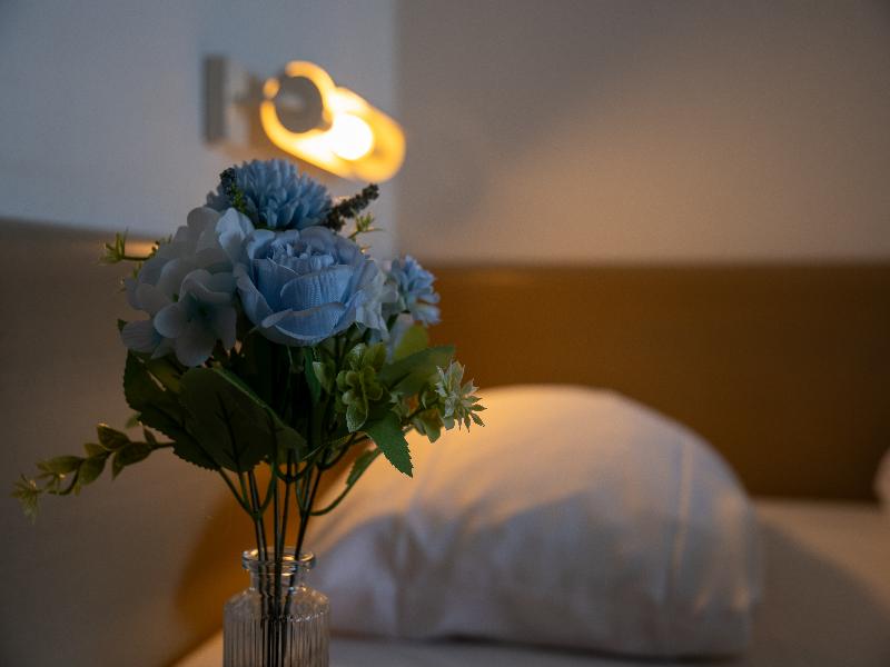 Hotel Osterso image