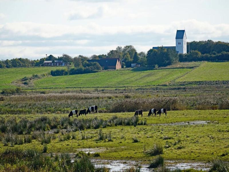 Hotel Skjern