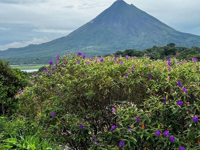Chateau Arenal image