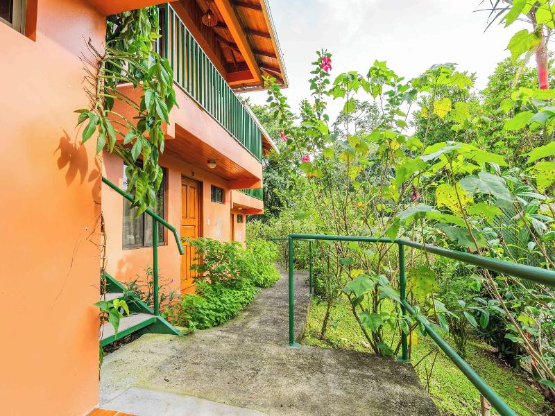 Chateau Arenal image