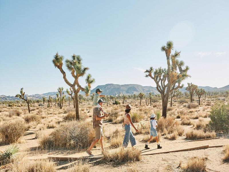 Autocamp Joshua Tree image