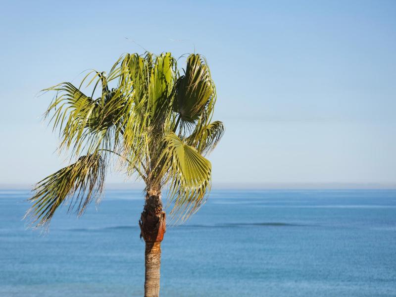 Hotel Los Angeles Denia image