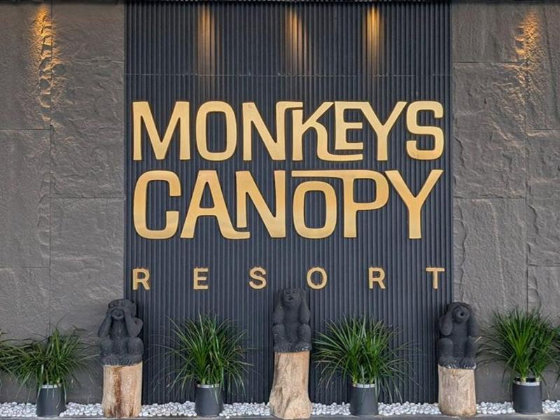 Monkeys Canopy Resort image