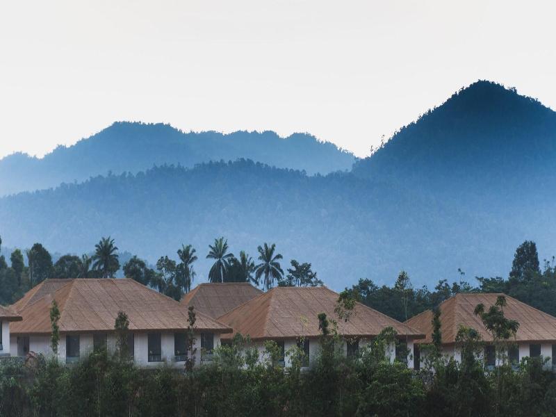 Monkeys Canopy Resort image