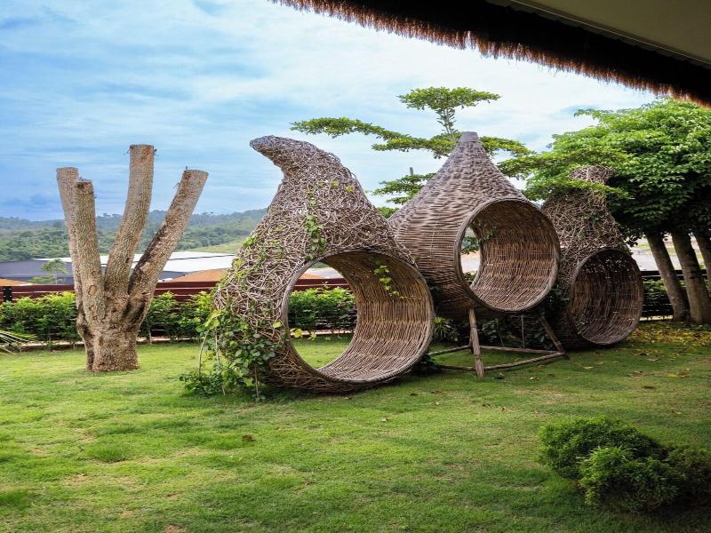 Monkeys Canopy Resort image