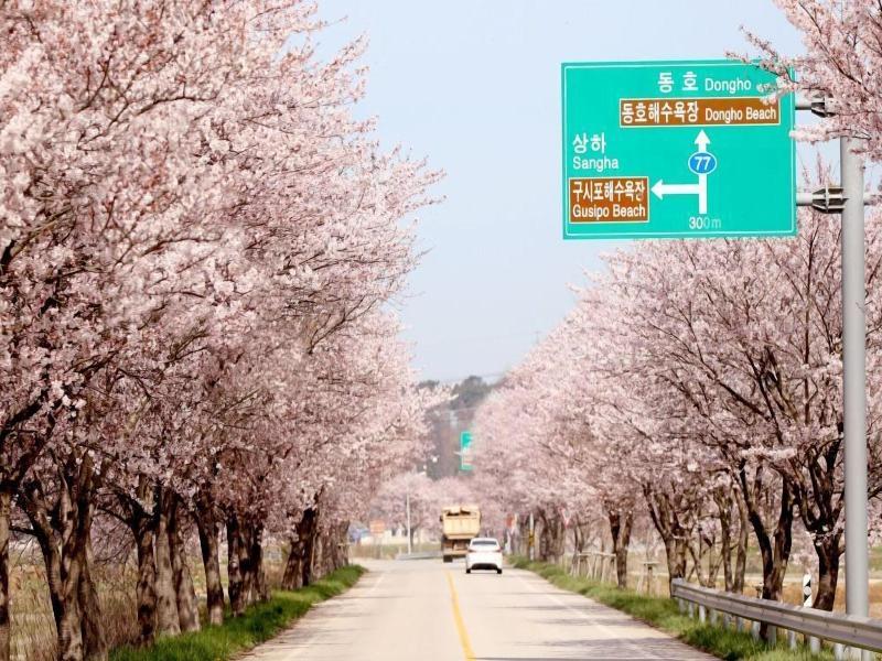 Dongho Beach Hotel