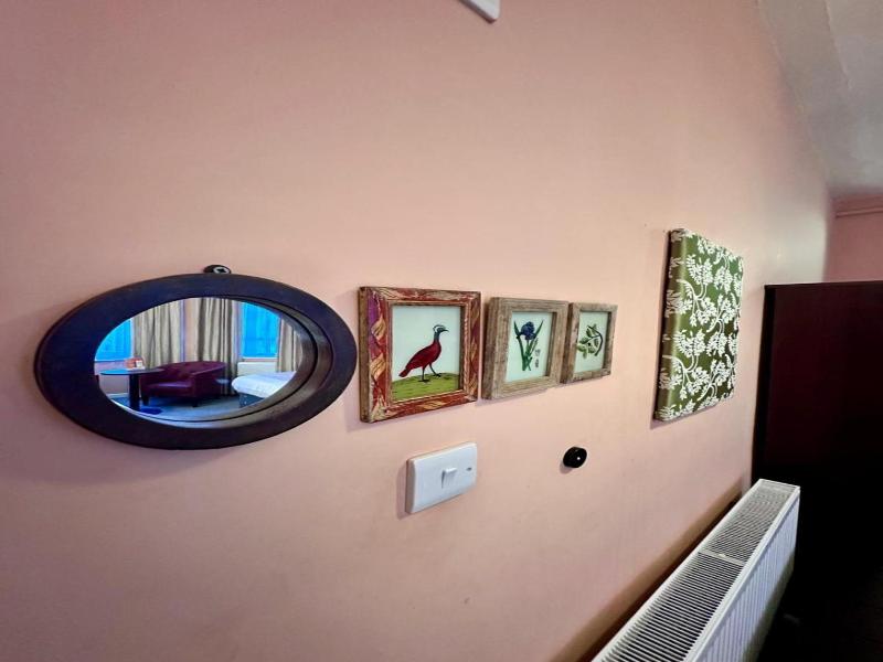 Acacia  image