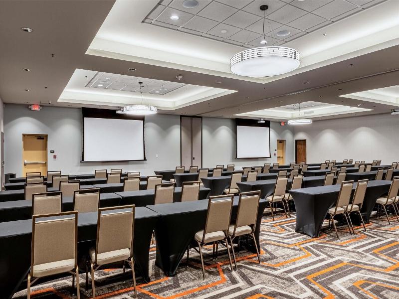 Drury Plaza Hotel Dallas Arlington image