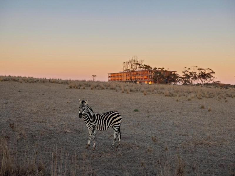 Monarto Safari Resort