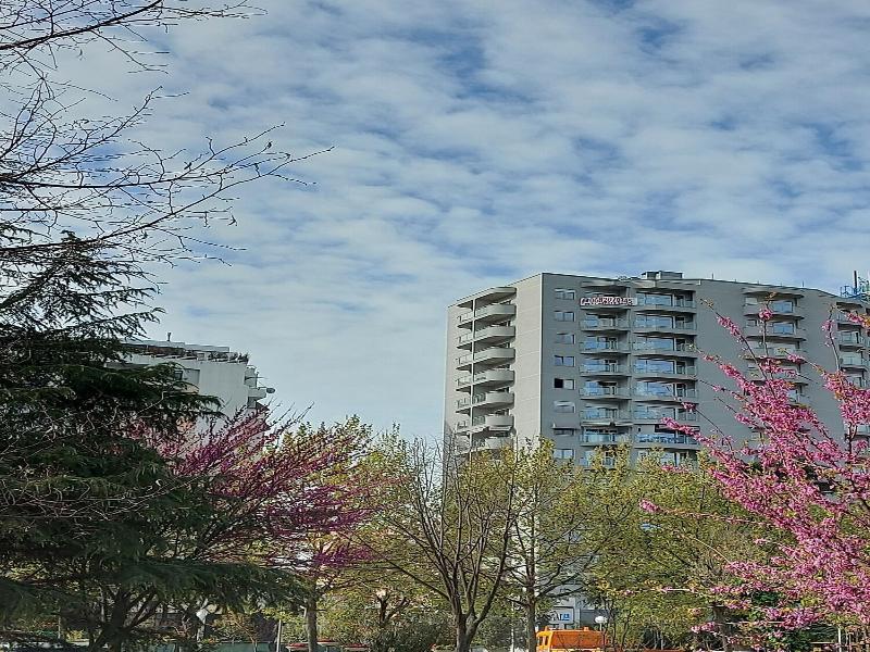 Mulaj Hotel