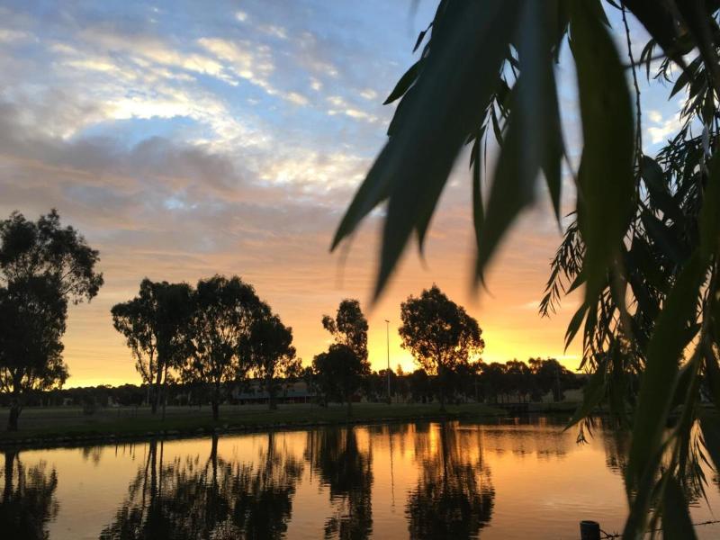 Junee Tourist Park image
