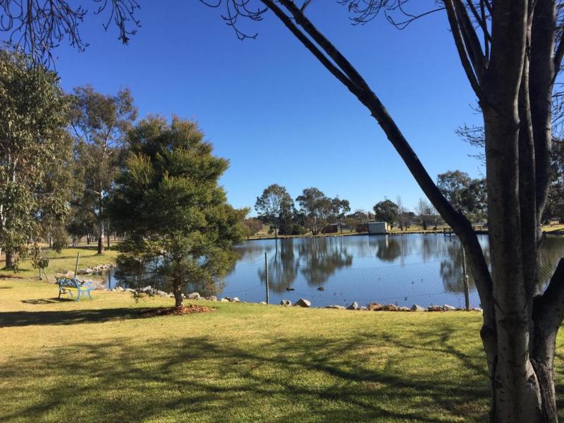 Junee Tourist Park image