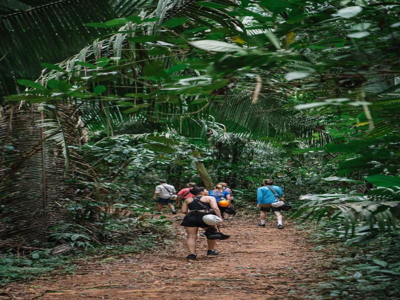 Bocawina Rainforest Resort & Adventures image