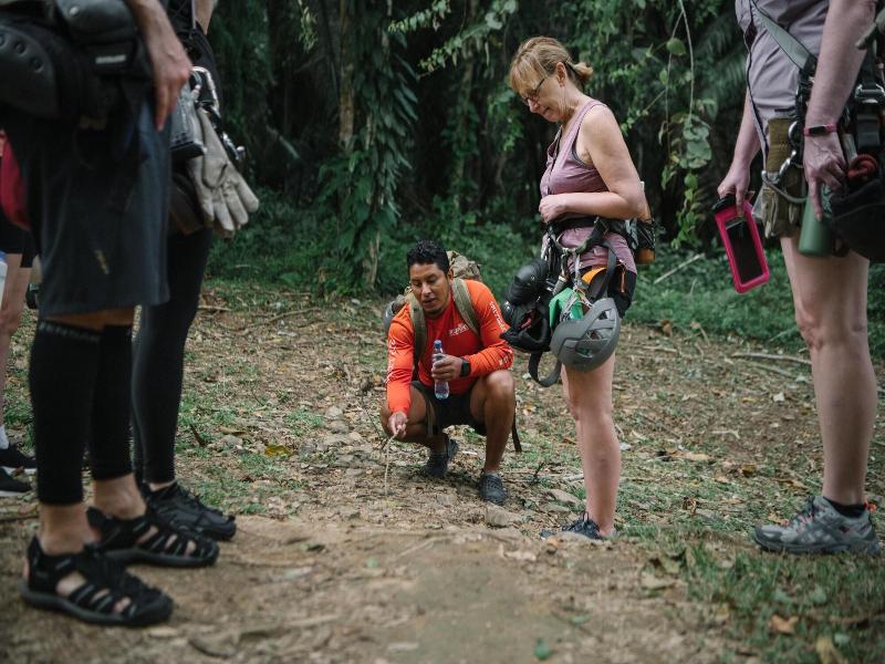 Bocawina Rainforest Resort & Adventures image