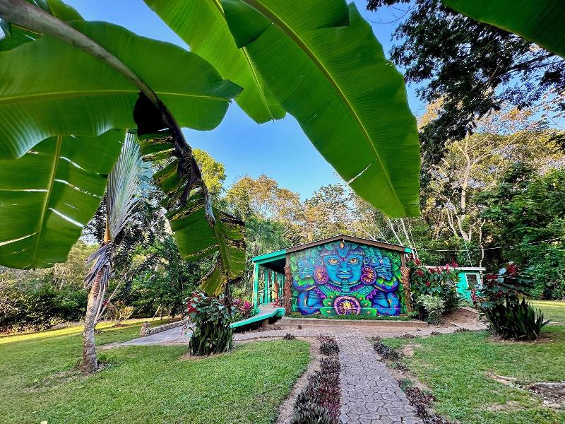 Bocawina Rainforest Resort & Adventures image