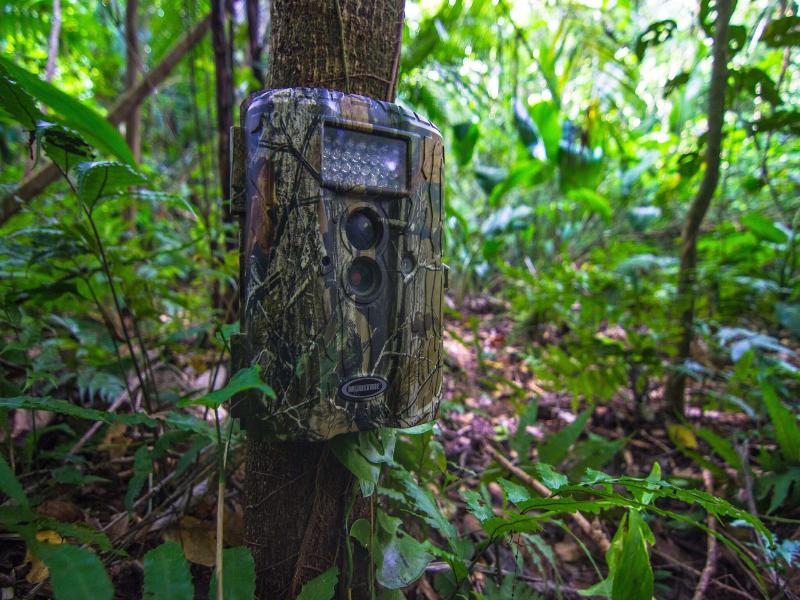 Bocawina Rainforest Resort & Adventures image