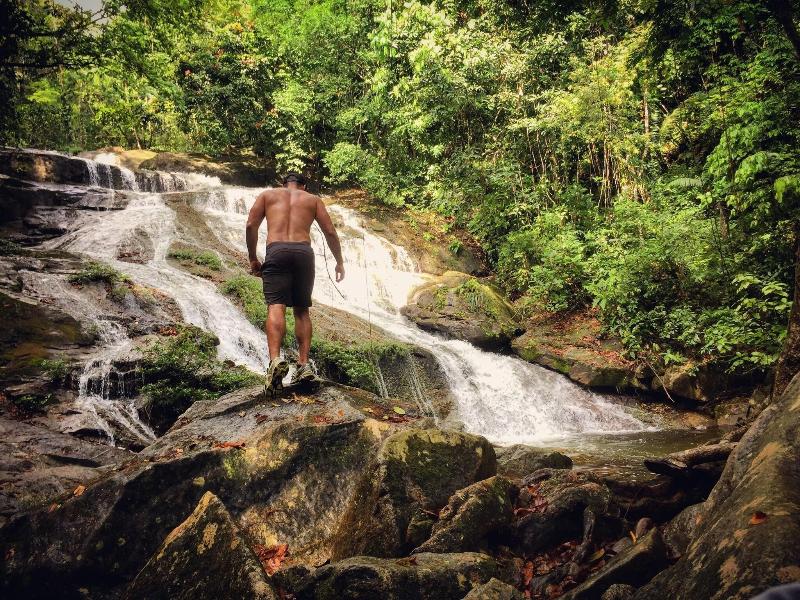 Bocawina Rainforest Resort & Adventures image