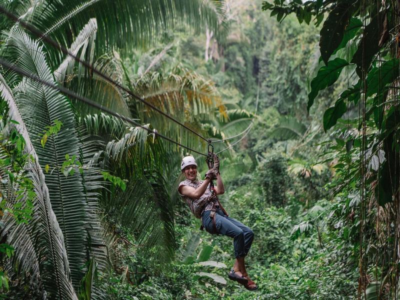 Bocawina Rainforest Resort & Adventures image