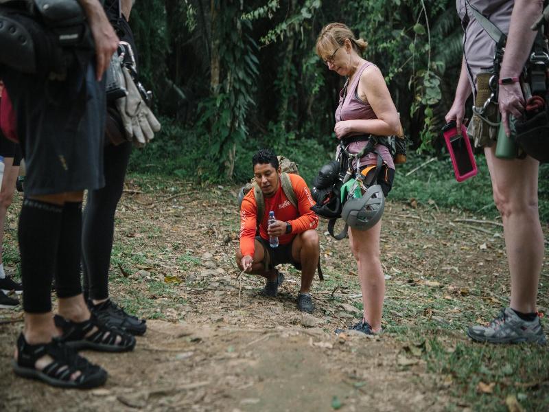 Bocawina Rainforest Resort & Adventures image