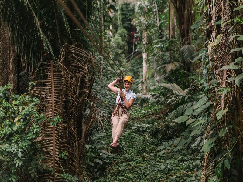 Bocawina Rainforest Resort & Adventures image