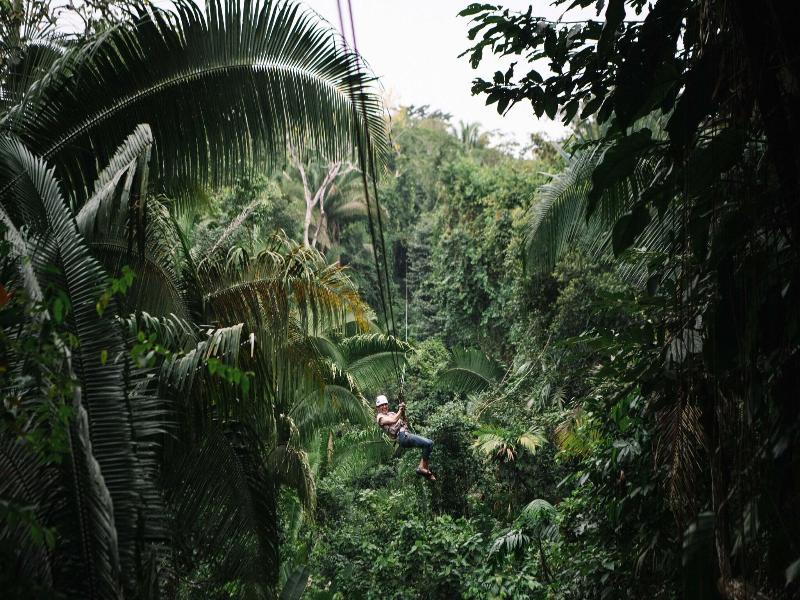 Bocawina Rainforest Resort & Adventures image