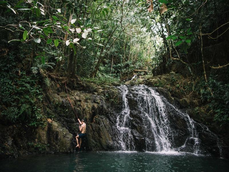 Bocawina Rainforest Resort & Adventures image