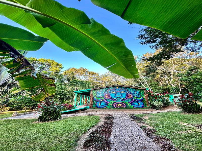 Bocawina Rainforest Resort & Adventures image